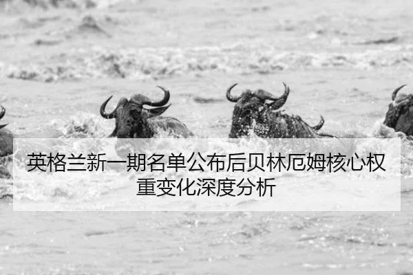 英格兰新一期名单公布后贝林厄姆核心权重变化深度分析（ngsportsltd.com）